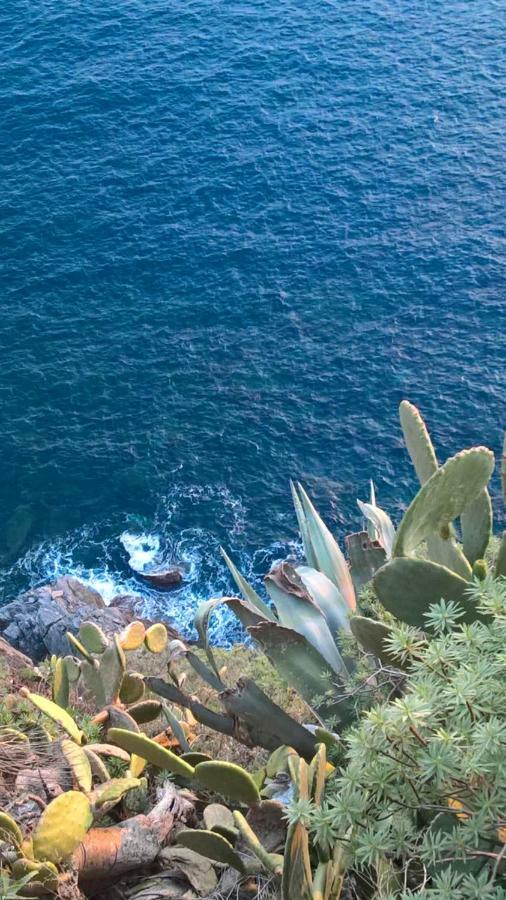 Апартаменты The Pearl Of 5 Terre - Monterosso Монтероссо-аль-Маре Экстерьер фото
